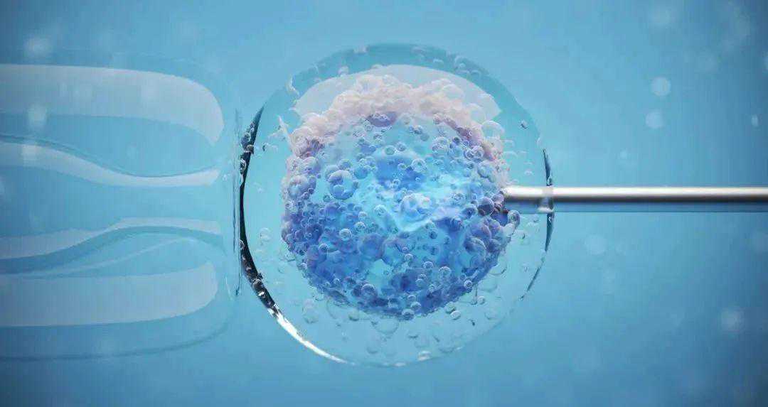 江苏哪里可以做供卵试管婴儿，2023国内供卵试管婴儿最全医院排名