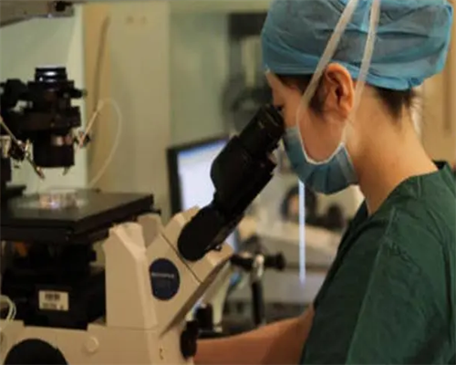 分享三代试管42天b超图?(孕期检查时间及项目)