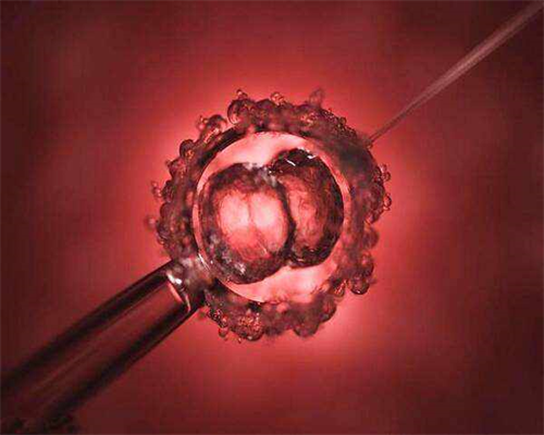 2026郑州代生网哪家靠谱多少钱郑州助孕生儿子