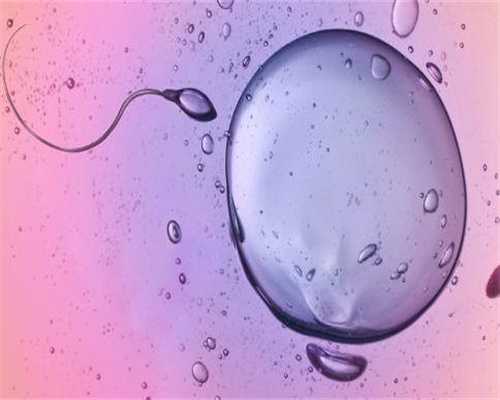 代孕产子多少钱解决：排卵期同房怀不上