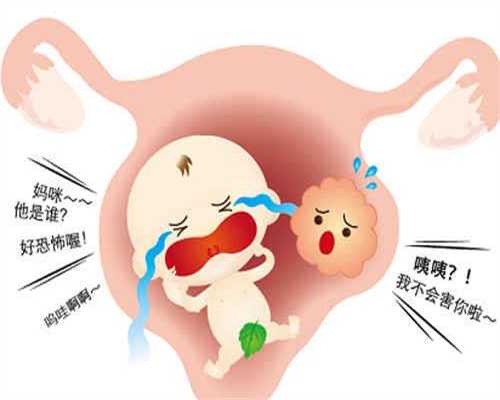 深圳助孕官网：备孕期间女性不可忽视的关键点