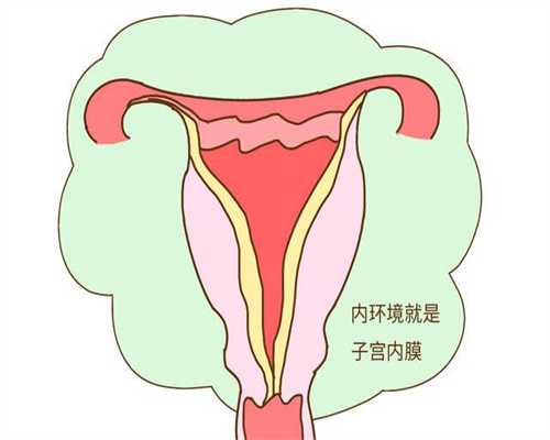 深圳中国龙脉代孕网～深圳哪里需要代孕母亲～