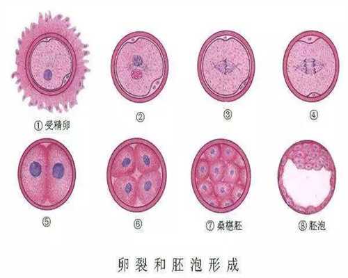 杭州生殖助孕,深圳做试管婴儿大概要多少钱