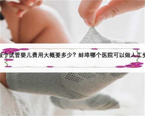 蚌埠做个试管婴儿费用大概要多少？蚌埠哪个医院可以做人工受孕？